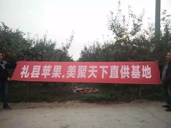 产地直供丨美聚天下水果来了