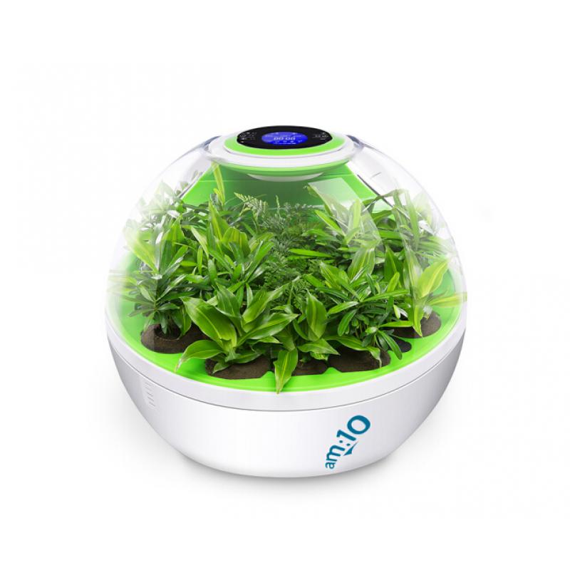 am:10 微森林8700桌面负氧离子空气净化器家用除甲醛雾霾高释氧净化绿植氧吧带绿植 清新绿 馨园